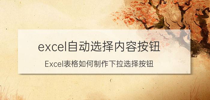 excel自动选择内容按钮 Excel表格如何制作下拉选择按钮？